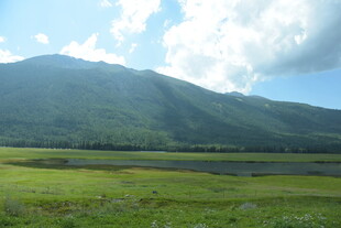 青山绿野间的自然美景