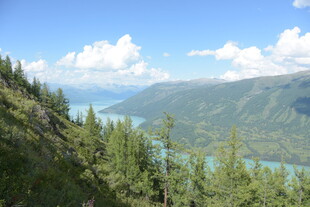 山间翠林伴碧水蓝天