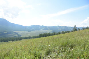 广袤草原与远处山峦风光