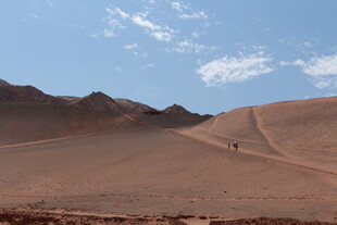 沙漠风光 一人独行之路