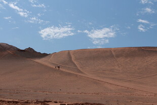 沙漠中的车辙痕迹