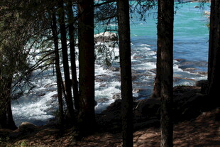 森林旁的海浪美景
