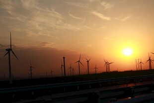 夕阳下的风力发电机组