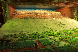 田园风光中的静谧场景