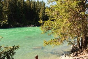 翠绿山林间的澄澈碧色河流