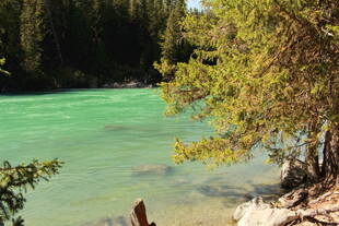 碧绿河畔的自然景致