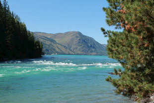 清澈蓝河旁的山林美景