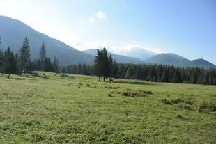 广袤草原与远处山峦美景