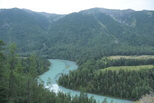 山间蜿蜒河流与葱郁林木