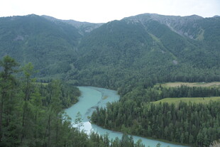 山间蜿蜒的碧绿河流