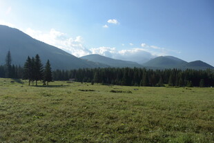 草原山林间的壮美风光