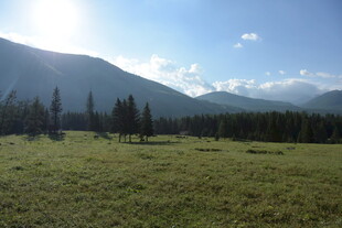 草原山林间的明媚风光