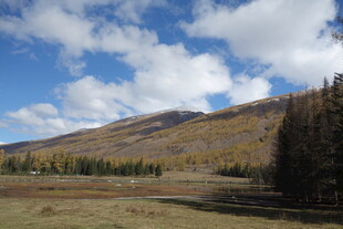 秋日山林蓝天白云美景