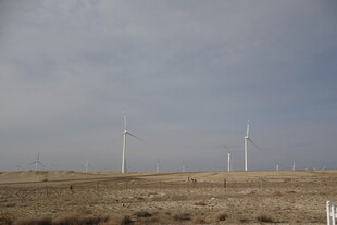 旷野中的风力发电机组