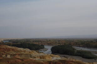 广袤原野中的蜿蜒河流