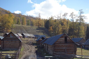 山间木屋村落 秋景如画