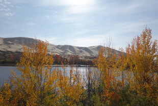 秋日湖畔绚烂景致