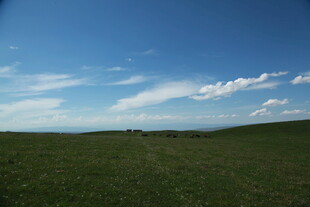 广袤草原与蓝天美景