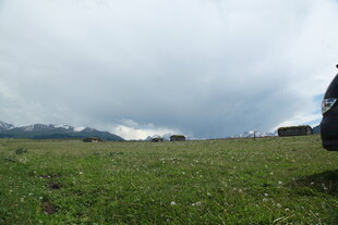 草原风光 远处山峦隐现
