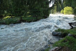 山间湍急溪流 绿意环绕