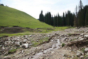 山间碎石小溪与葱郁草地