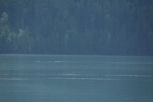 宁静湖水与葱郁山林