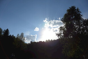 林间日光 蓝天绿树美景