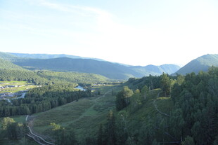 山间葱郁森林与蜿蜒道路
