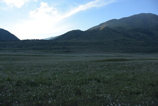广袤草原与远处山峦景色