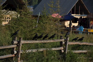 山间木屋旁的木栅栏风景