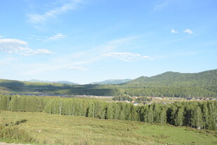 广袤草原与远处山林美景