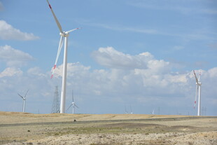 草原上的风力发电机组