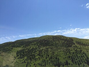 青山绿树蓝天美景