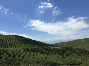 青山蓝天间的葱郁山林