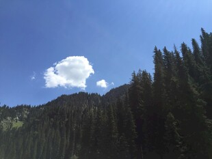 山林上空的洁白云朵