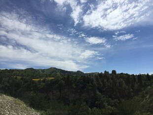 蓝天白云下的葱郁山林