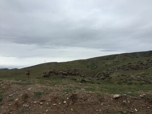 阴天的开阔山地景观