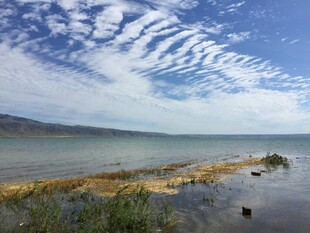 湖畔风光 蓝天白云映绿水