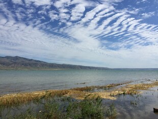 湖畔风光 白云蓝天映绿水