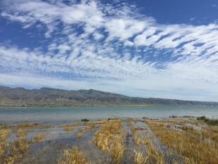 湖畔蓝天白云下的枯黄植被