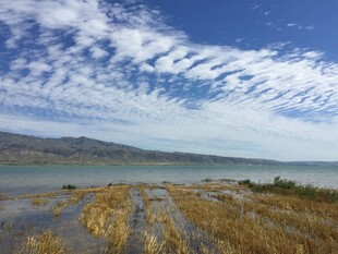 湖畔风光 蓝天白云映枯草