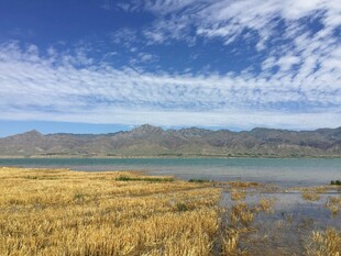 湖畔金黄草甸与远山蓝天