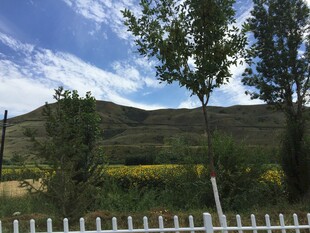 田园风光中的白色栅栏景致