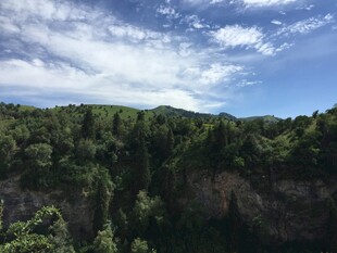 壮丽山林峡谷景观