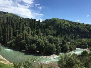 青山绿水间的秀丽河谷