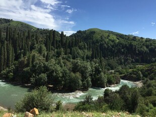 青山绿水间的秀丽河谷