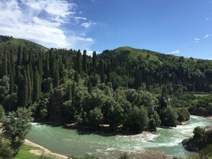 青山绿水间的秀丽河谷