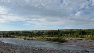 河畔风光 绿意盎然