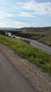 乡村公路旁的绿意风景