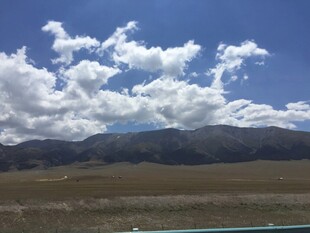 蓝天白云下的广袤原野